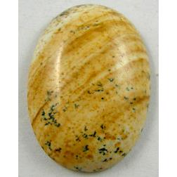 Picture Jasper, Cabochon, flat-back Oval