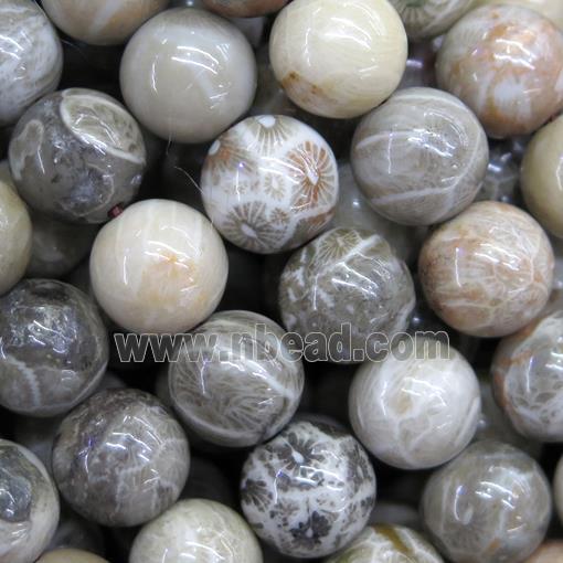 Fossil Coral Beads, chrysanthemum, round