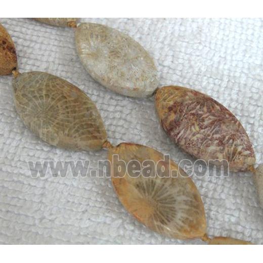 Coral Fossil Beads, chrysanthemum, horse eye