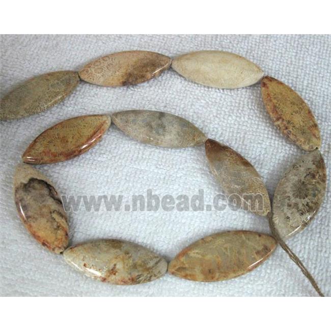 Coral Fossil Beads, chrysanthemum, horse eye