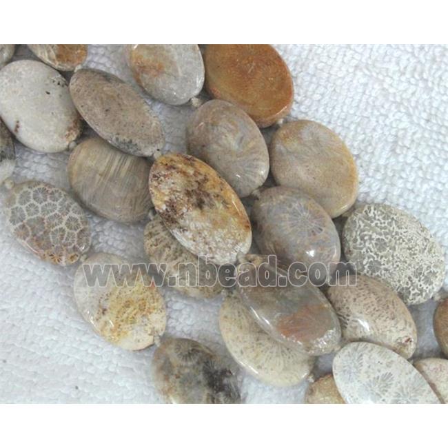 Coral Fossil Beads, chrysanthemum, flat oval