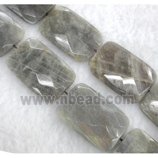 labradorite beads, faceted rectangle