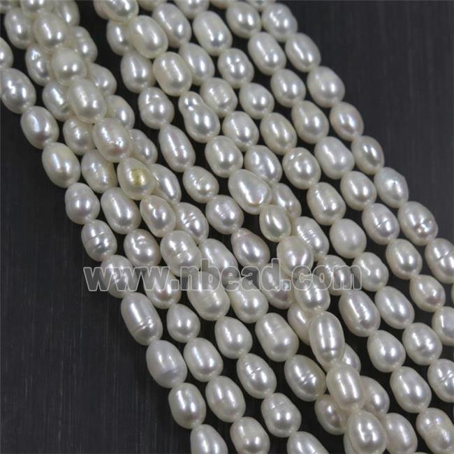 Natural White Freshwater Pearl Beads Rice C-Grade