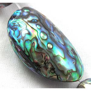 Paua Abalone Shell Bead