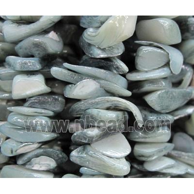 Fresh water shell bead, freeform