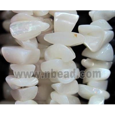 Fresh water shell bead, freeform