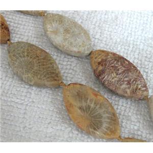 Coral Fossil Beads, chrysanthemum, horse eye, approx 13x25-15x28mm, 16.5 inches