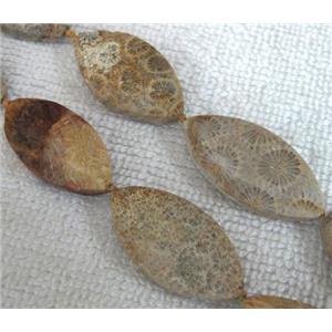 Coral Fossil Beads, chrysanthemum, horse eye, approx 16x30-20x40mm, 16.5 inches