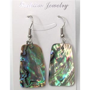 Paua Abalone shell earring, mxied, 19x30mm