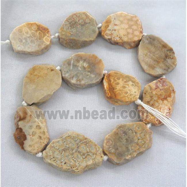 Coral Fossil slice bead, flat freeform