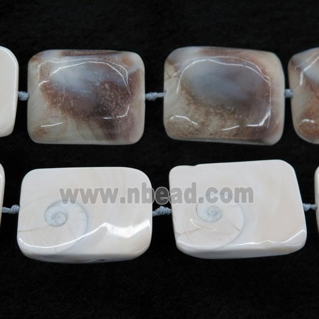 Shell Fossil beads, rectangle