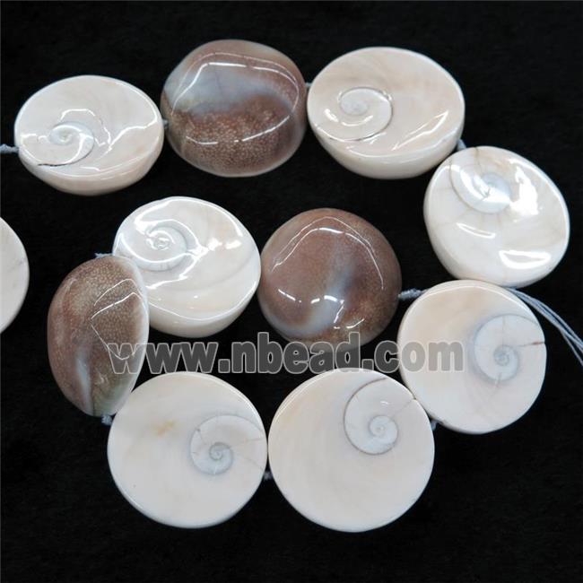 Shell Fossil beads, circle