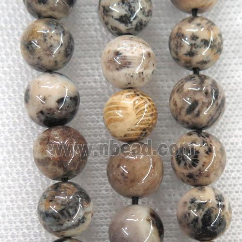 round Coral Fossil Beads