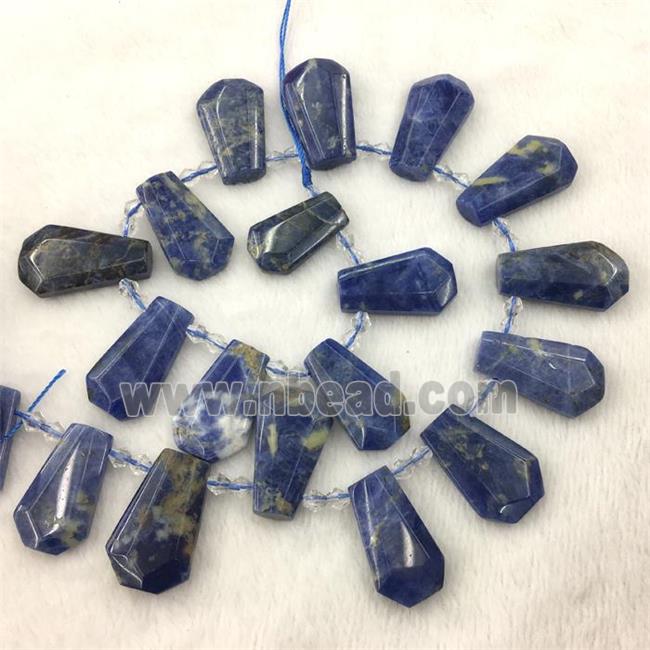 blue Sodalite teardrop beads