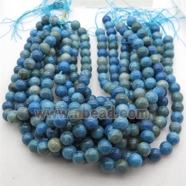 round blue Coral Fossil Beads, Petoskey