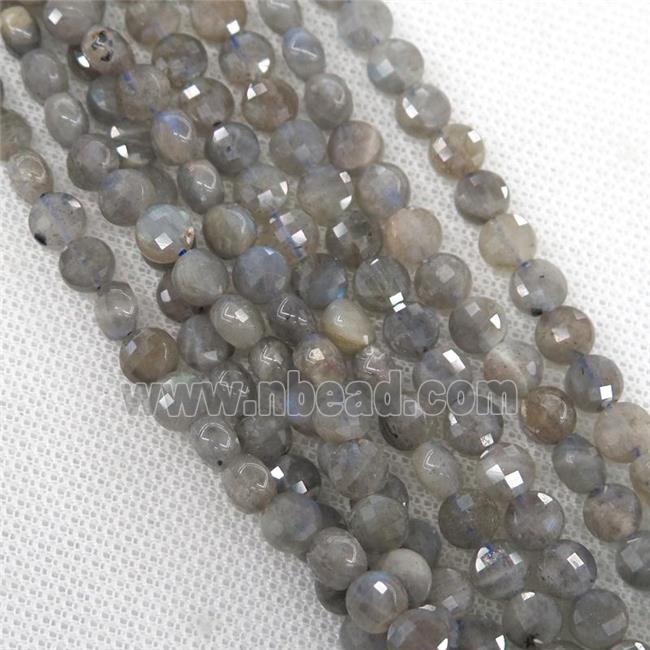 Labradorite Beads, faceted circle