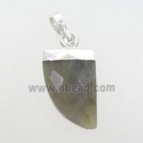 Labradorite horn pendant, silver plated