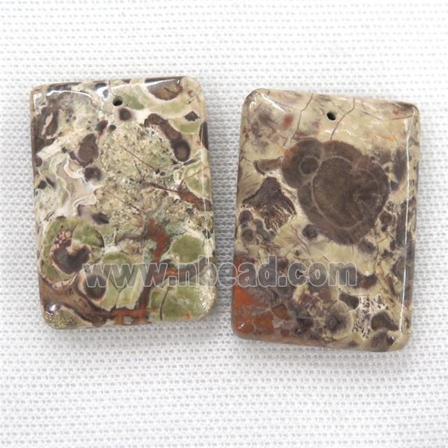 Ocean Jasper rectangle pendants