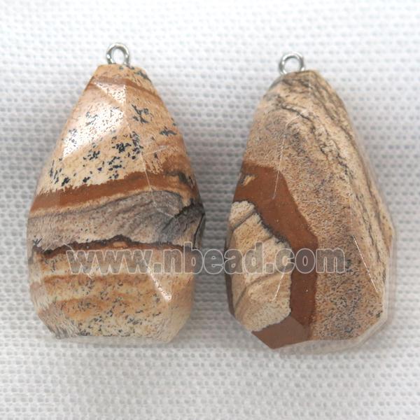 Picture Jasper pendant, freeform