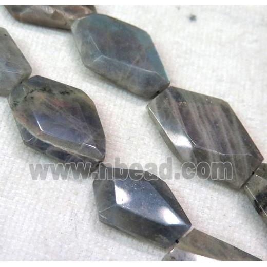 faceted freeform Labradorite bead