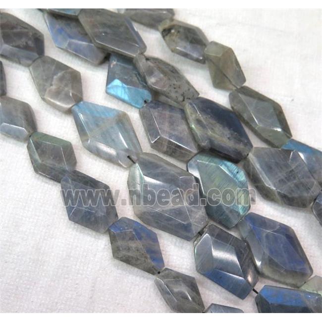 faceted freeform Labradorite bead