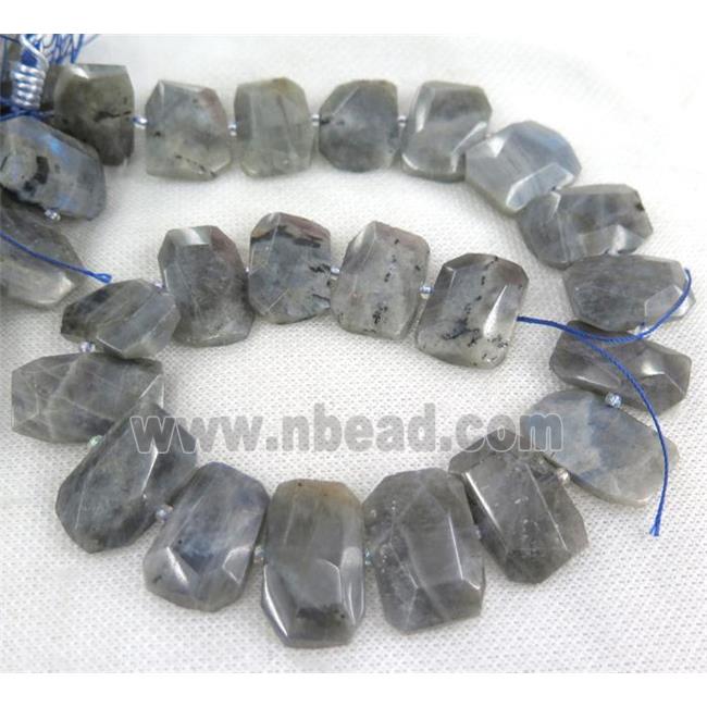 Labradorite beads, faceted rectangle