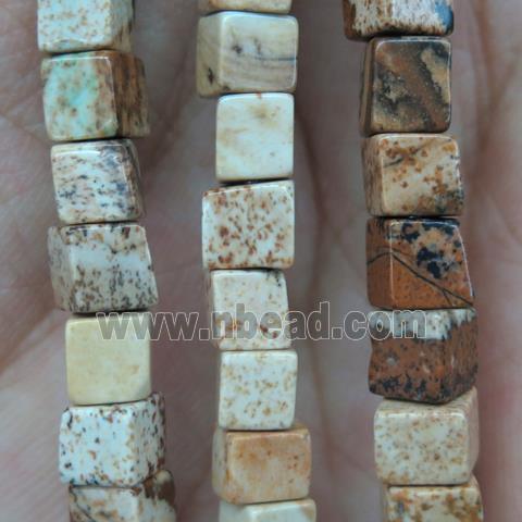 Picture Jasper cube beads