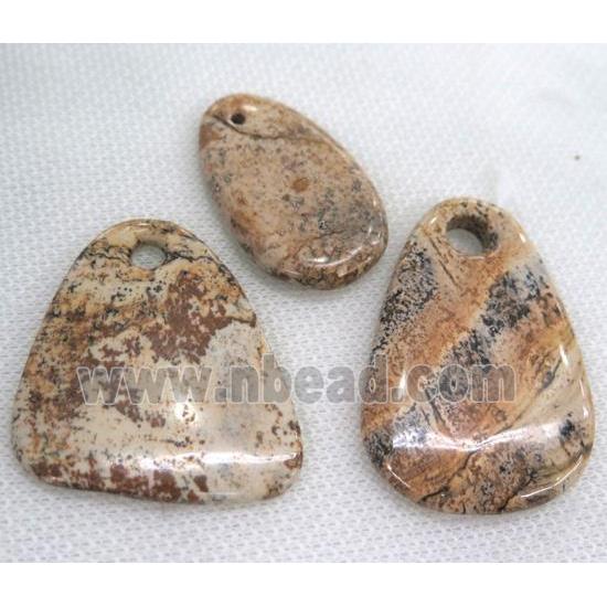 Picture Jasper pendant, mix shape