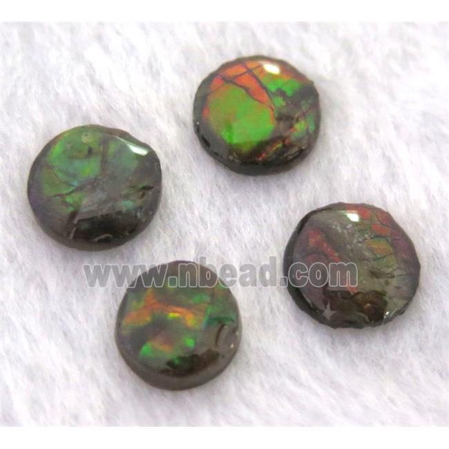 Ammolite cabochon, flat-round