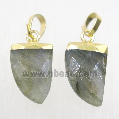 Labradorite horn pendants, gold plated