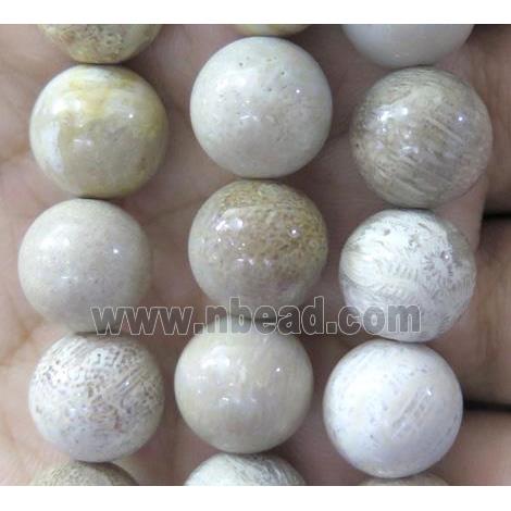 round coral fossil beads