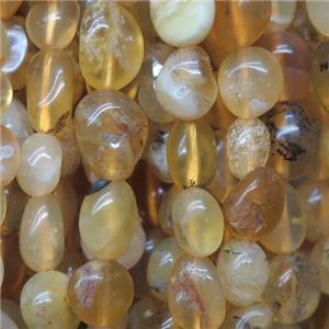 yellow Opal Jasper beads chip, freeform, approx 6-8mm