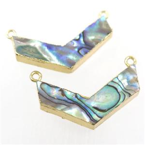 Paua Abalone shell pendant, V-shape, gold plated, approx 20-35mm