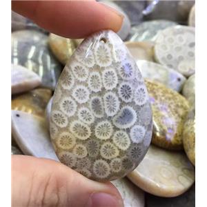 coral fossil pendant, teardrop, approx 25-40mm