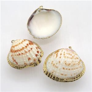 Conch Shell Clam pendant, gold plated, approx 22-30mm