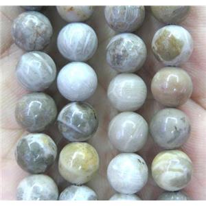 round coral fossil beads, approx 8mm dia