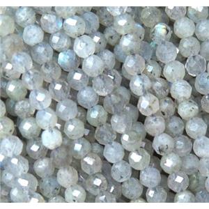 Labradorite tiny beads, faceted round, approx 3mm dia