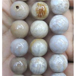 coral fossil jasper bead, round, approx 12mm dia