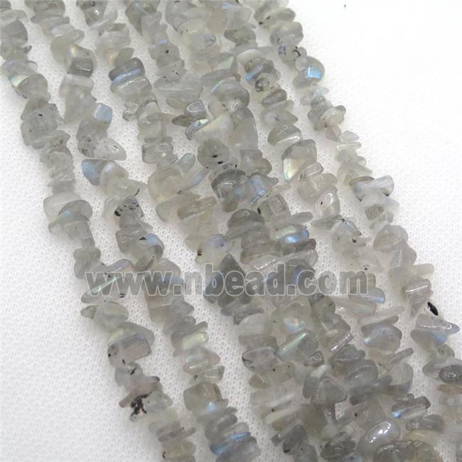 Labradorite chip beads