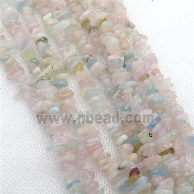 Morganite chip beads, multicolor