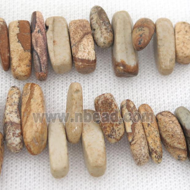 Picture Jasper beads chip