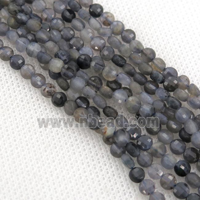 Iolite Beads, faceted coin