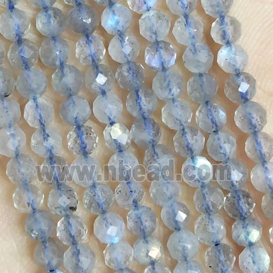 Labradorite Beads Faceted Round