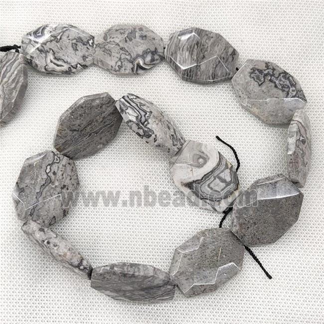 Gray Map Jasper Beads Faceted Slice