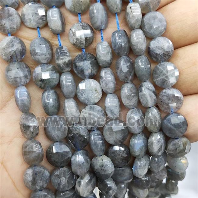 Labradorite Beads Faceted Circle