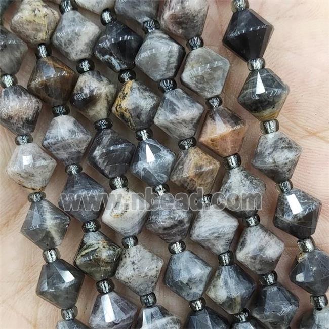 Black Sunstone Beads Bicone