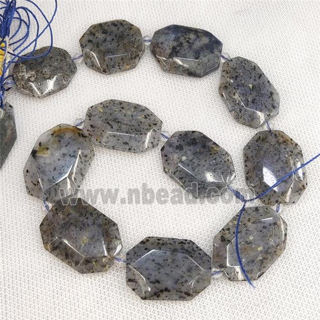 Sesame Quartz Slice Beads Gray Spot