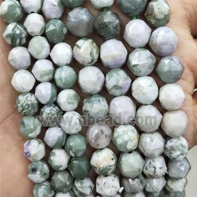 Natural Peace Jasper Beads Green Cut Round