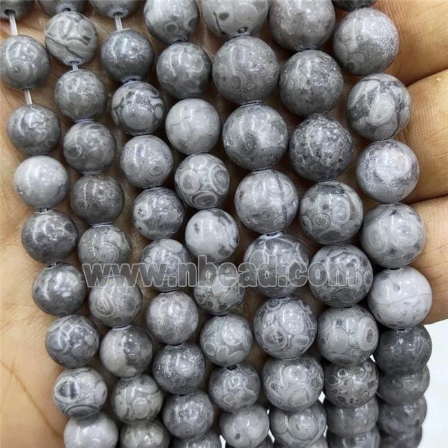 Gray Fossil Jasper Beads Smooth Round