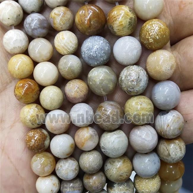 Natural Yellow Coral Fossil Beads Chrysanthemum Jasper Smooth Round